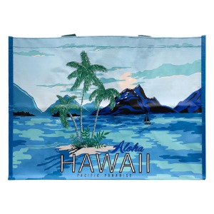 코스트코 하와이 장바구니 쇼핑백 가방 시장 대용량 대형 캠핑 다용도 분리수거